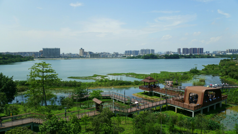 盤點深圳十大最美公園，你最愛的是哪個公園？